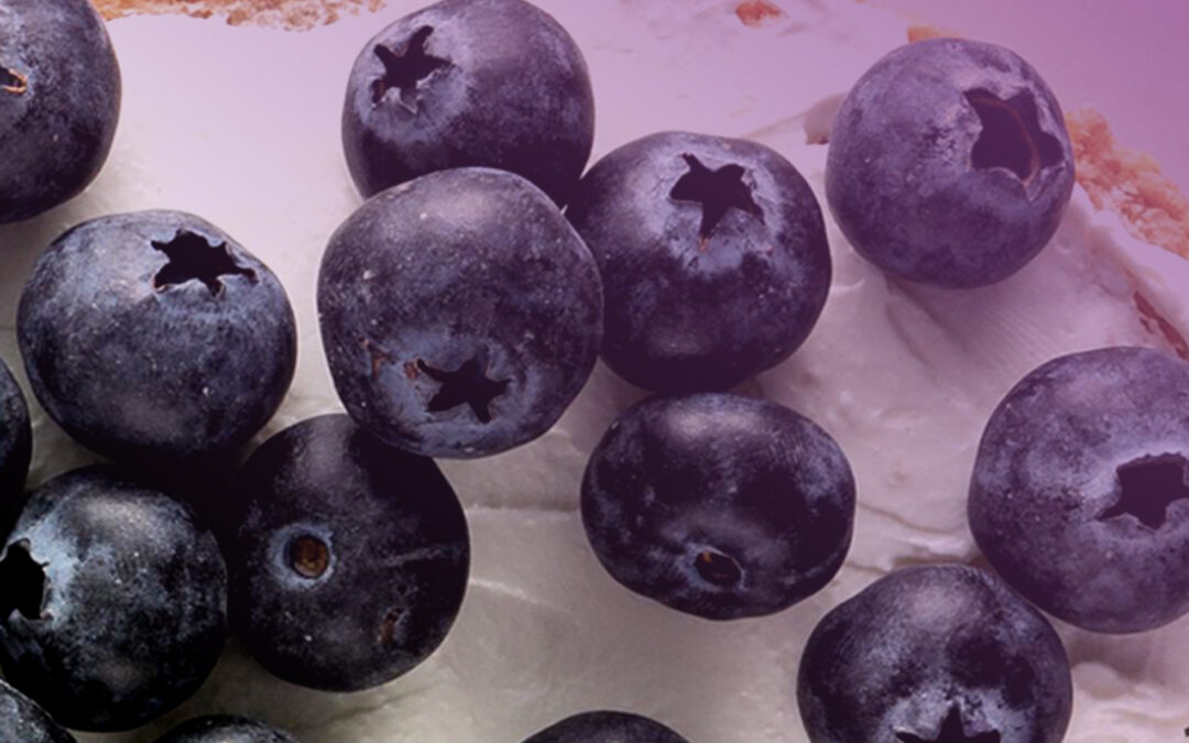 Tostadas con Queso Crema y Arándanos