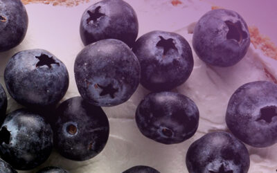 Tostadas con Queso Crema y Arándanos